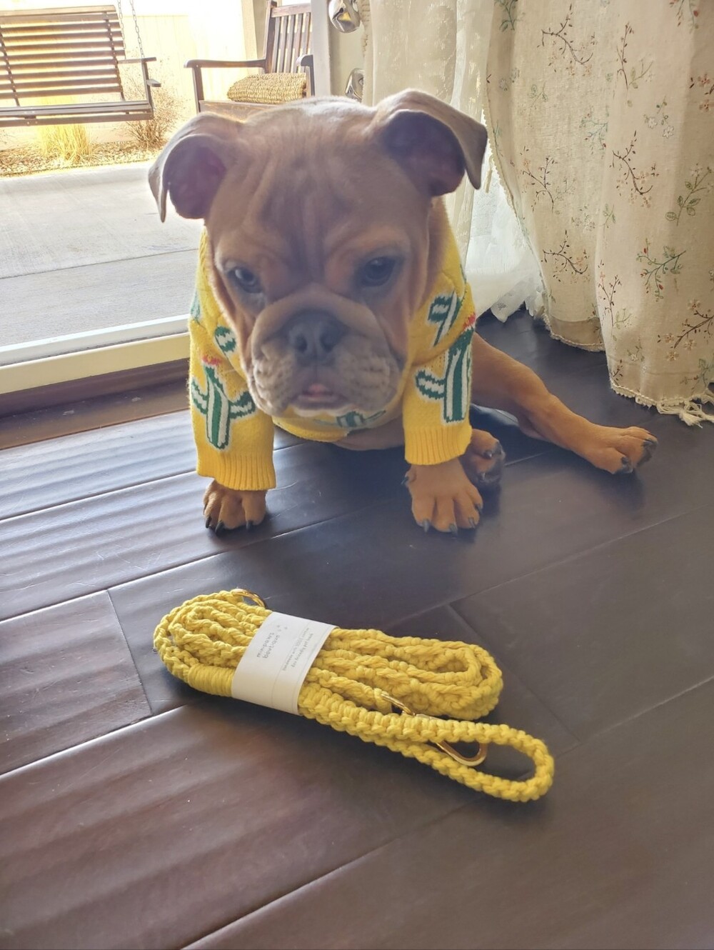 Dog Sweater - Picture 5 of 5